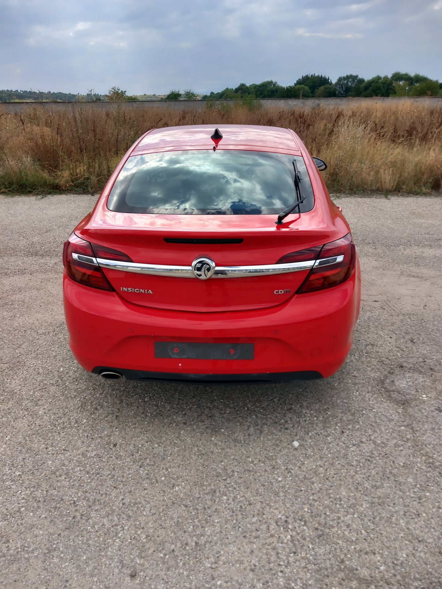 Opel Insignia A Facelift red 2,0 CDTI 170кс B20DTH / G0911 снимки