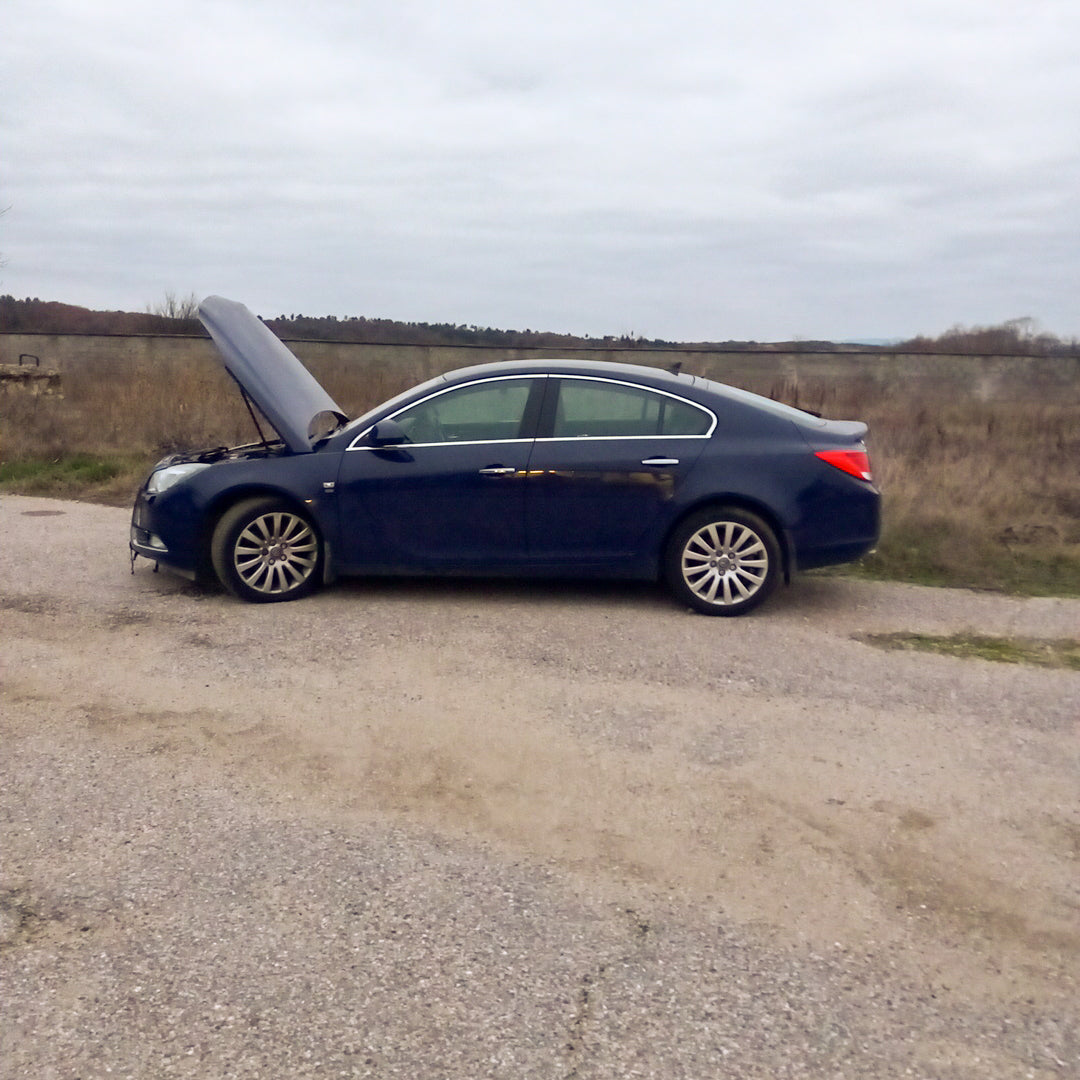 Opel Insignia A 2,0 Turbo A20NHT Blue 2011 / G0909 снимки